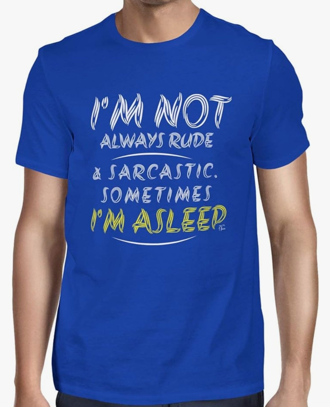 Mens I'm Not Always Rude & Sarcastic Sometimes I'm Asleep T-Shirt
