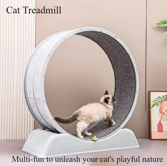 Cat Treadmill-Quiet Low Noise Exercise Wheel with Removable Carpet
