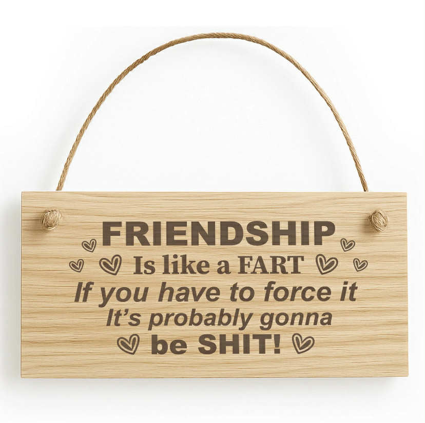 BEST FRIEND PLAQUE Funny Friendship Sign Gift For Him Her Best Friend Birthday