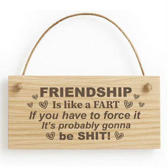 BEST FRIEND PLAQUE Funny Friendship Sign Gift For Him Her Best Friend Birthday