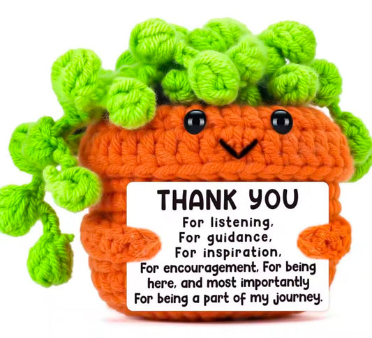 Handmade Crochet Positive Plant Decoration