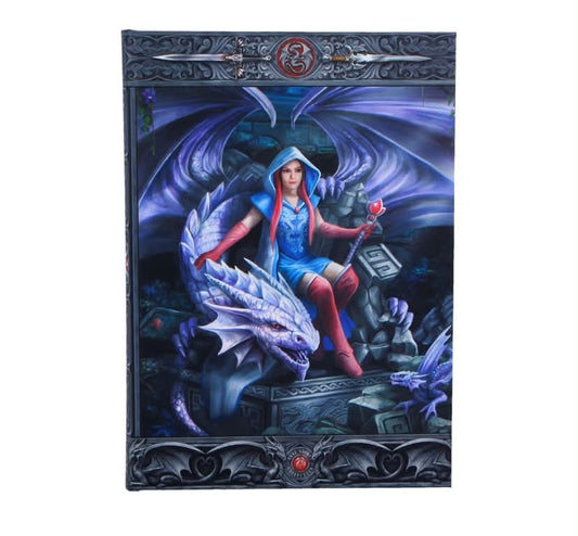 Dragon Mage Journal (AS) 17cm