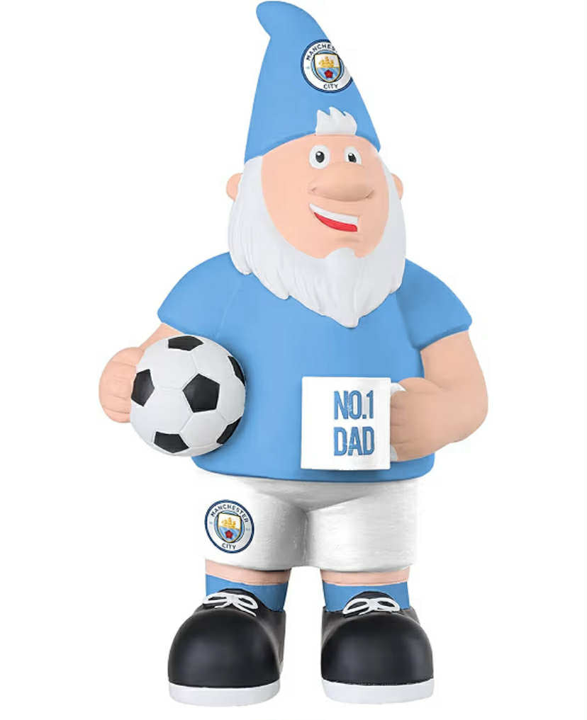 Premier League Scotland FC Number 1 Dad 25cm Garden Patio Ornament Gnome