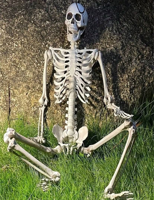 Realistic Movable Joint Skeleton Decoration For Halloween | Lifelike Bone Prop, Suitable For Horror Outdoor Display Decoration,