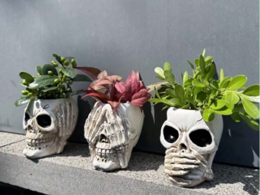 3 pcs, Halloween Ghost Head Flower Pot Decoration Creative Resin Courtyard Garden Skull Head Potted Decoration Creative Pots For Office Desktop Balcony Home Garden Indoor Statue Decorations Ornaments