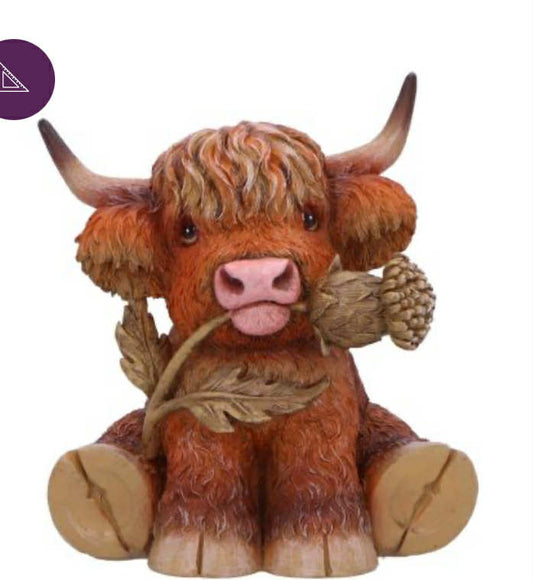 Highland Thistle 10.5cm
Highland Cow with Thistle Figurine