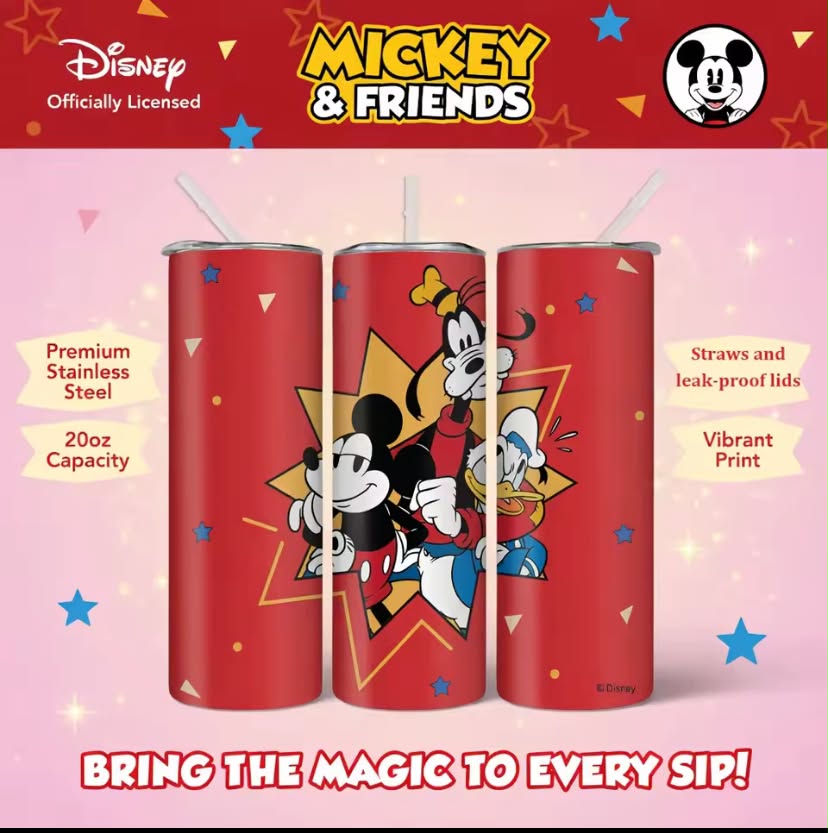 20oz Cute Disney Mickey & Friends Stainless Steel Tumbler Insulated
