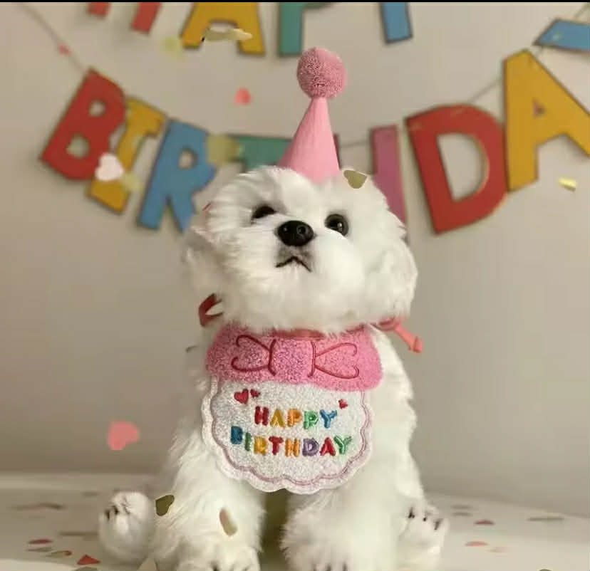 Adorable Dog Cat Puppy Birthday Hat & Bandana Set